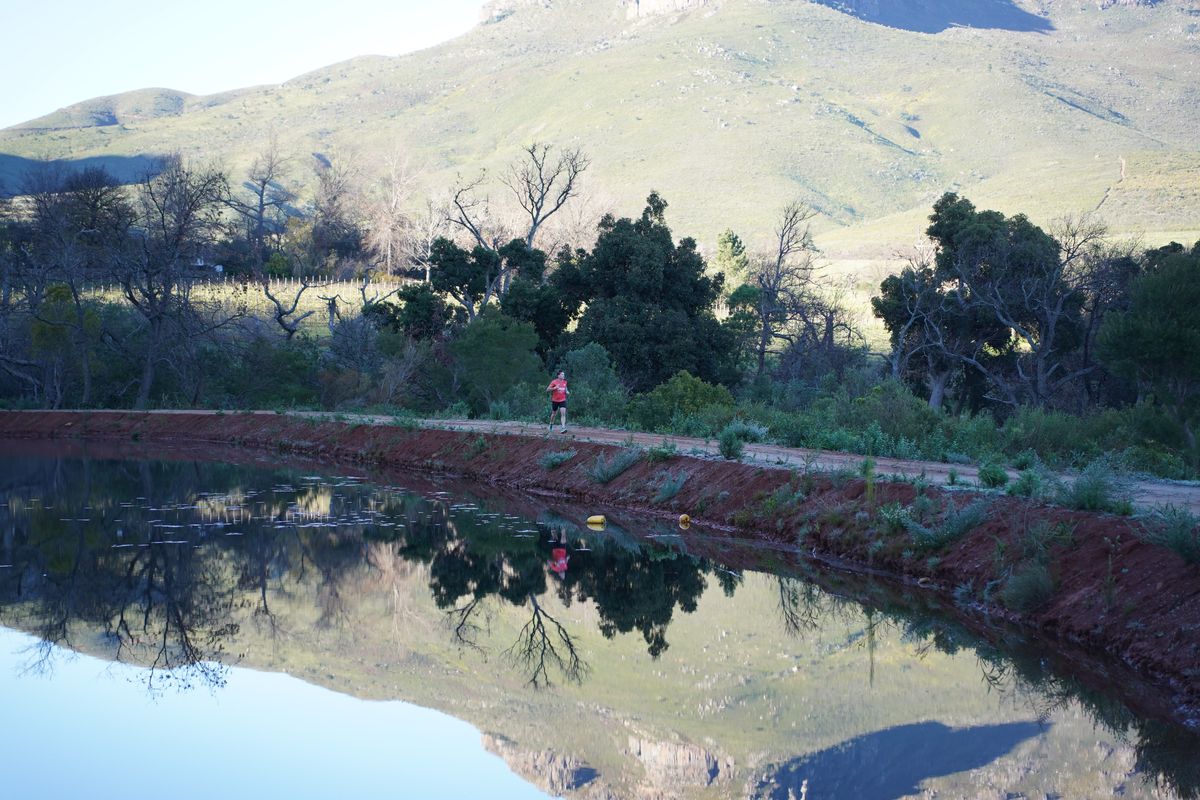 Runners at the Wine Town Walk & Run 2026